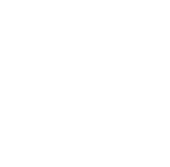 roof repair icon